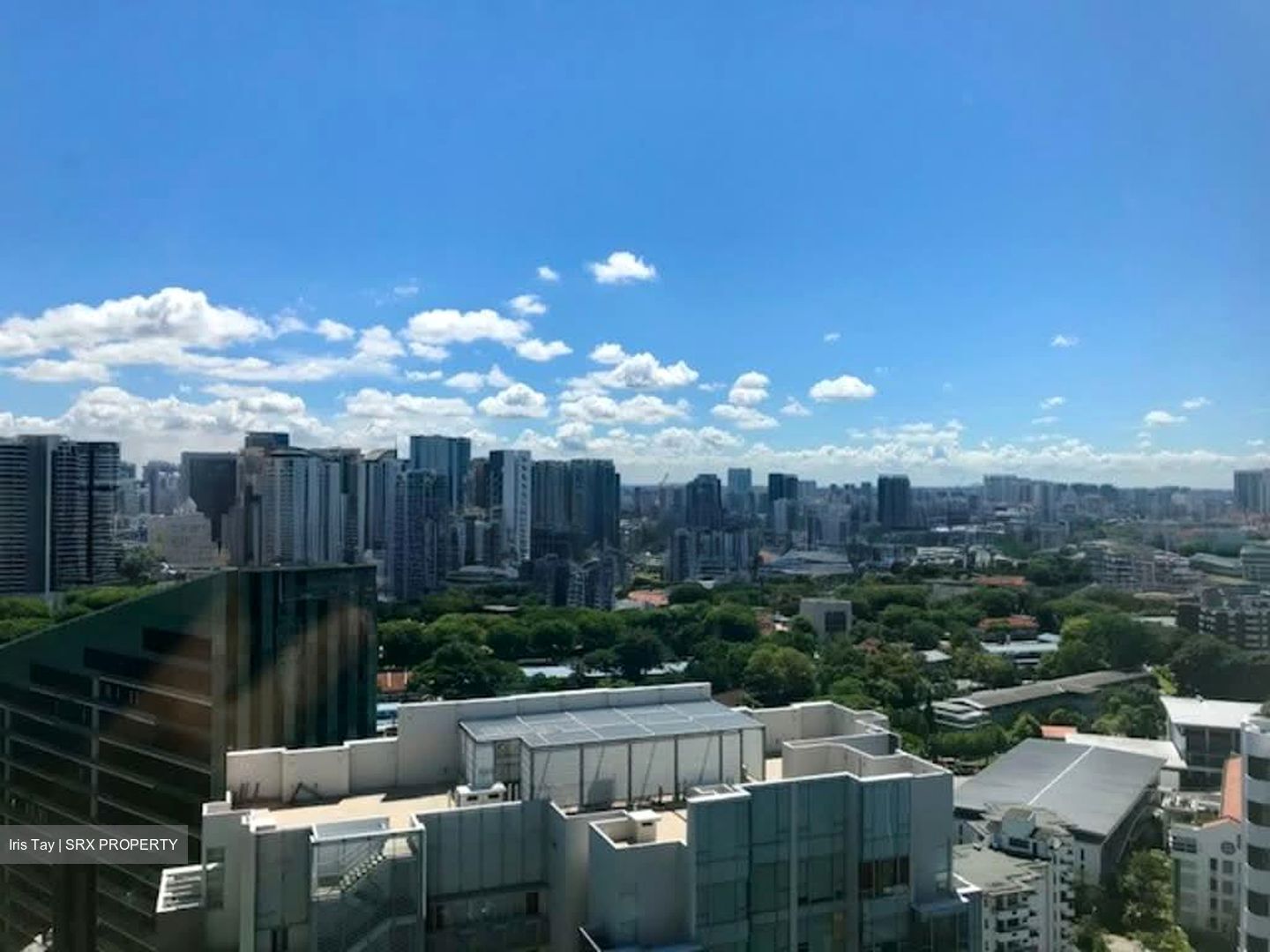 Cairnhill Residences (D9), Apartment #552191941